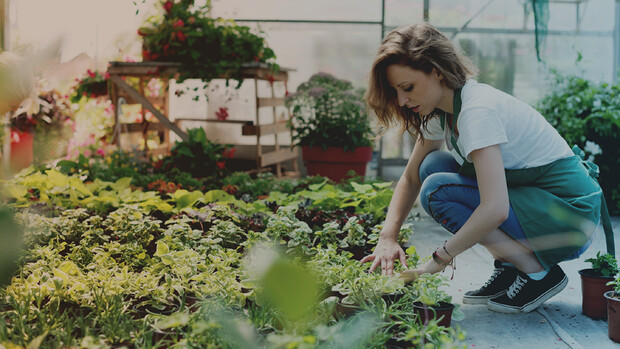 Berufseinstieg durch Praktikum